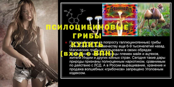 прущие крисы Балахна