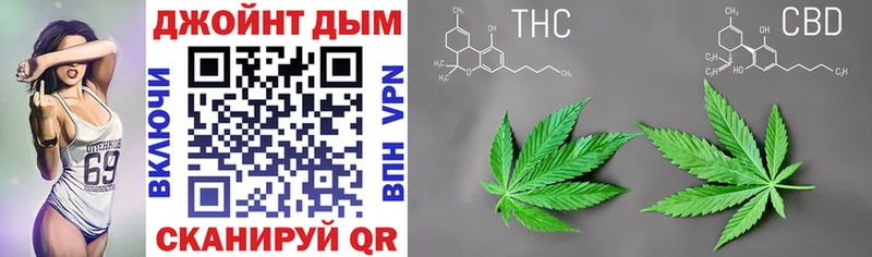 где продают   Фрязино  omg как войти  Канабис сатива 